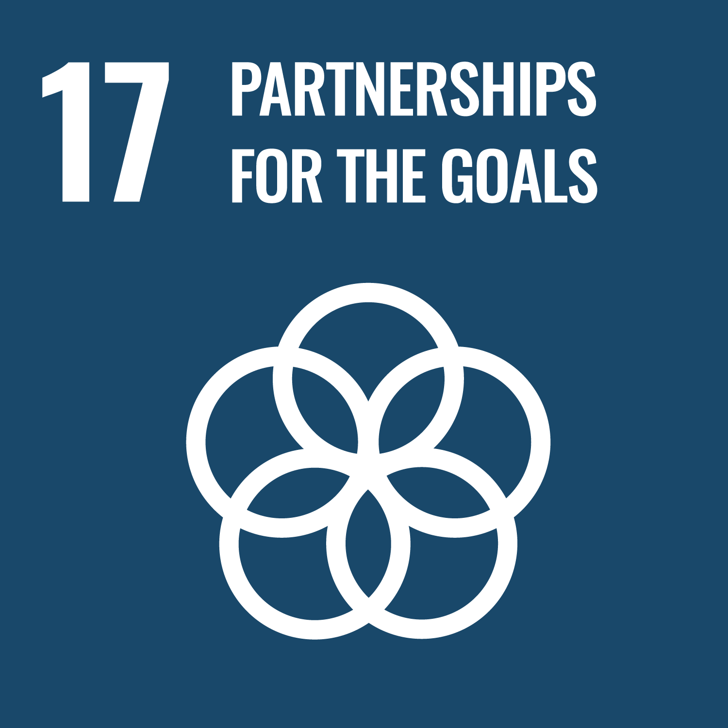17. Partnerség a célok eléréséért